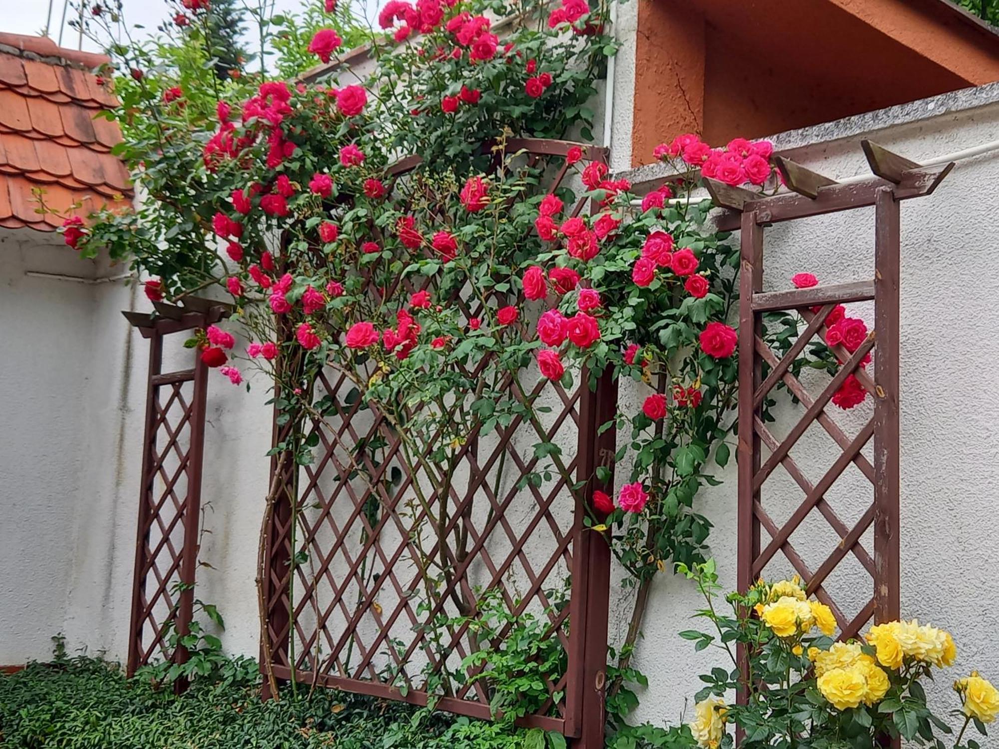 Apartament 2-Pokojowy 55 M2, Kolo Zoo, Hali Stulecia - Wroclaw — Zdjęcia 3